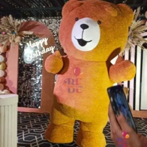 Brown Teddy Bear Character for Birthday Party in Delhi NCR